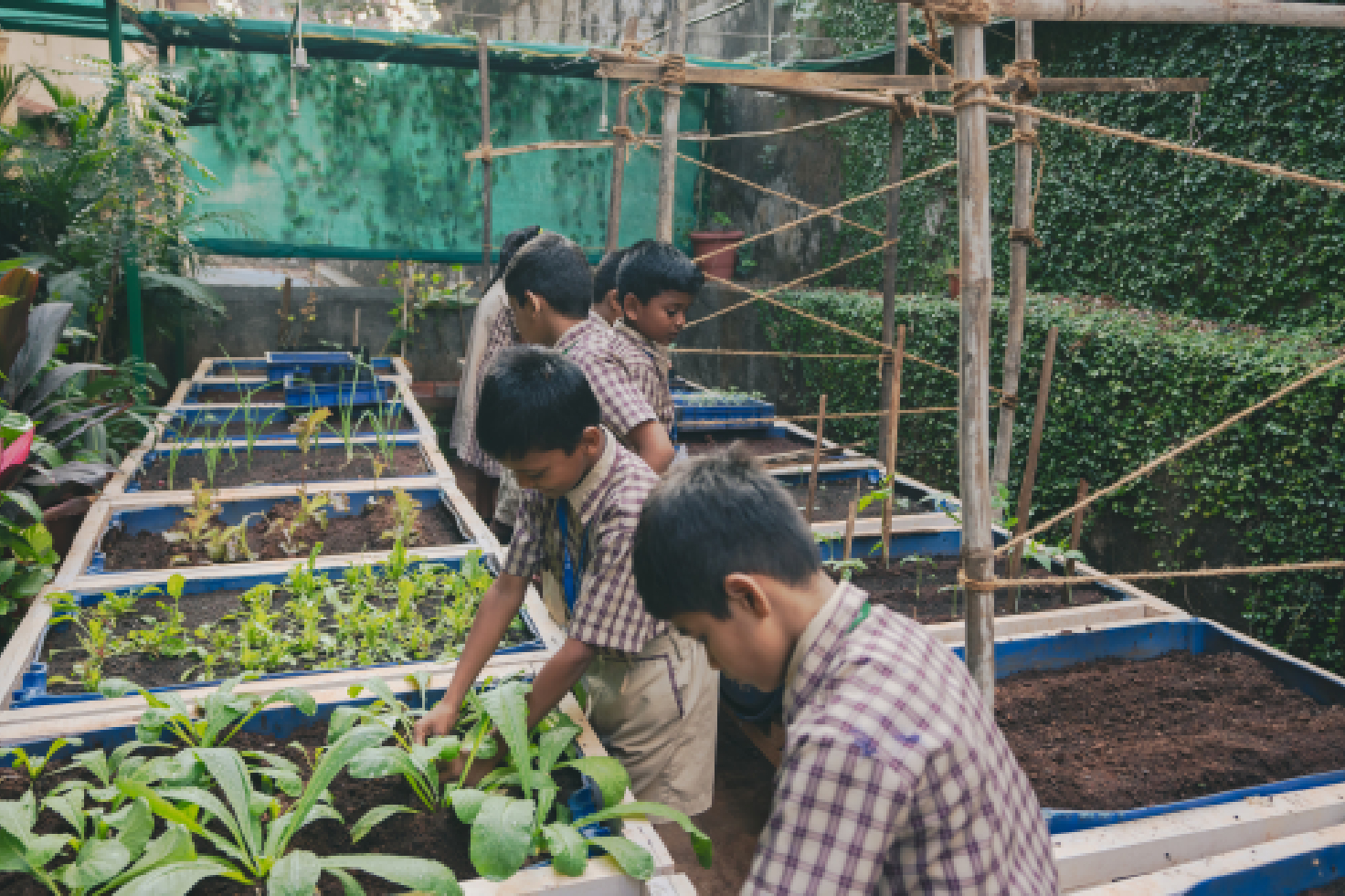 gardening